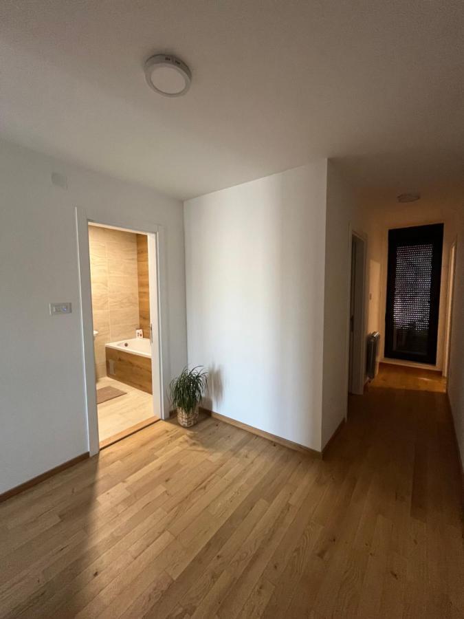 Plava Zvezda Centar Free Garage Apartment Novi Sad