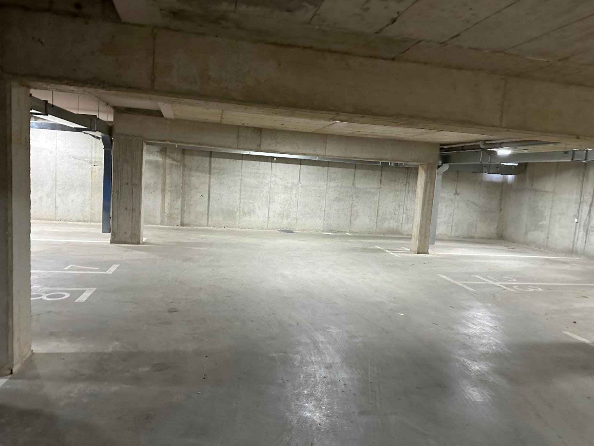 Plava Zvezda Centar Free Garage Novi Sad